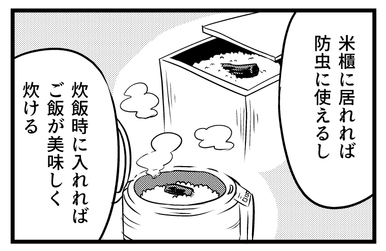 (2/2) 