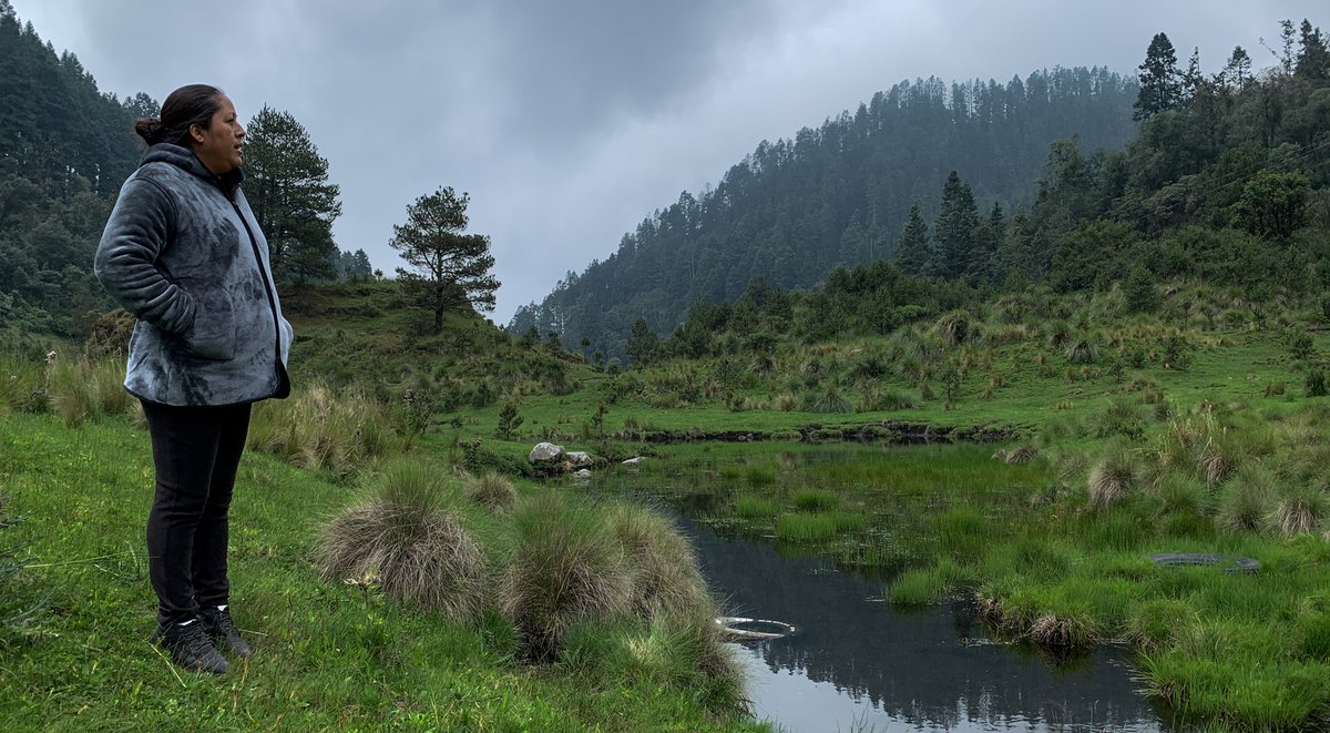 La comunidad tlahuica de San Juan Atzingo, ubicada en el Estado de México, ha cuidado por más de tres siglos uno de los territorios que forman parte del Gran Bosque de Agua, un corredor forestal que resulta fundamental para la captación de agua y generación de oxígeno.