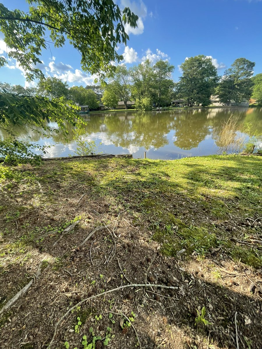 ◡̈ 💖 tweet media