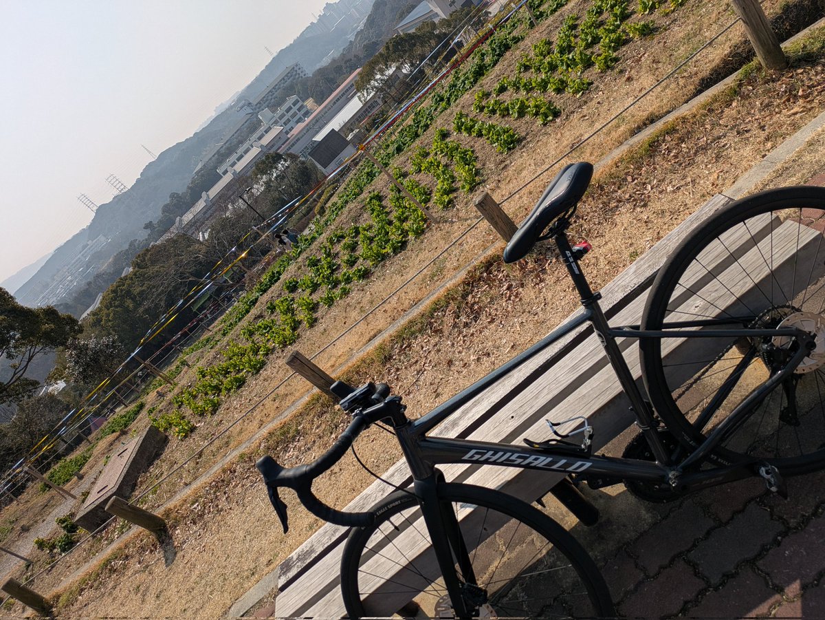 abonyon_DQX's tweet photo. 買えた！
景色もいいし結果オーライ(　-`ω-)✧
 #Lerepas https://t.co/KkpVKT6ran