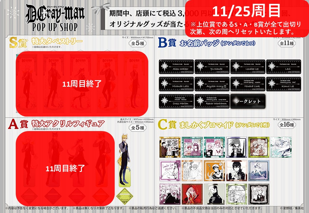 D.Gray-man Dグレ A賞 リナリー・リー特大アクリルフィギュア 望ましく