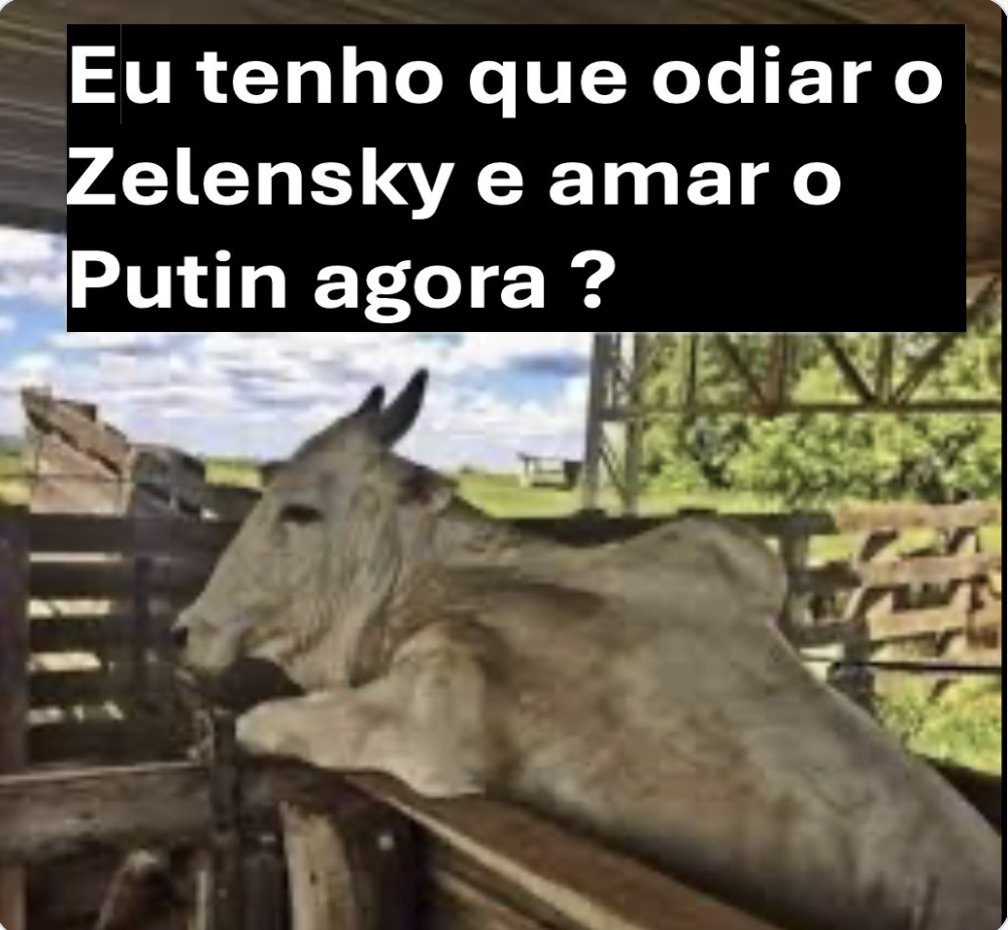 Pobre_d_Direita's tweet image. Vida de gado na iminência da Terceira Guerra Mundial...