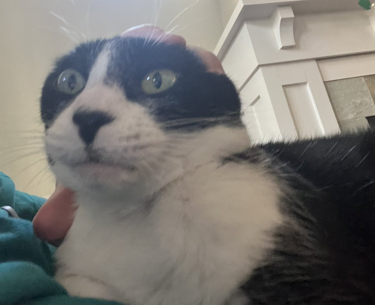 Dan Brown (@danbrownio) on Twitter photo Me re-opening my email after a 45 minute meeting Me re-opening my email after a 45 minute meeting