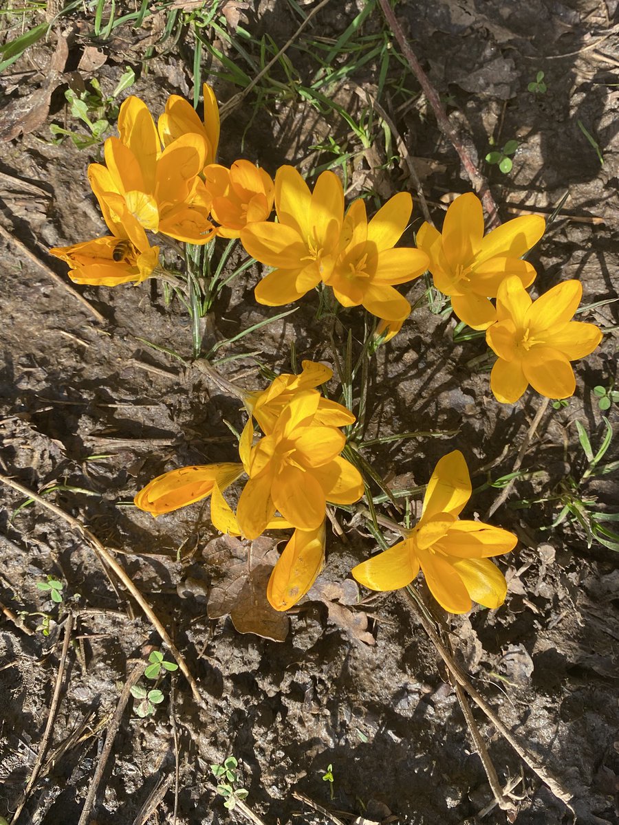 Barbara Jennings 🦋 ✨ tweet media