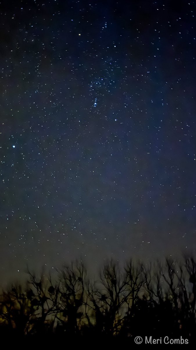 mericombs12's tweet photo. Trying to see the parade of planets tonight was not as easy as I had hoped. Still got a pretty cool shot of Venus, Mercury, and the crescent moon at twilight - and maybe Mars and Jupiter to the upper left and right of Orion.
#txwx #paradeofplanets
@WxFanaticCC @atxwxgirl @AustinBurkeswx @AnnHd04 @SusanaAguayo12 @mejenwalton @Wx_Intercepts @davis_wx @LoneStar_WX @TheWXStore @rabbit_stew_ @312Will @michaelwx6 @DFWStormChasing @JohnRichTX @SirlinJohn @jstar79 @marcusreynold19 @BrutusX4K @TxWxWes @chasetxwx