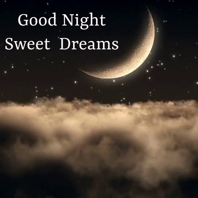 Shari Salois tweet media