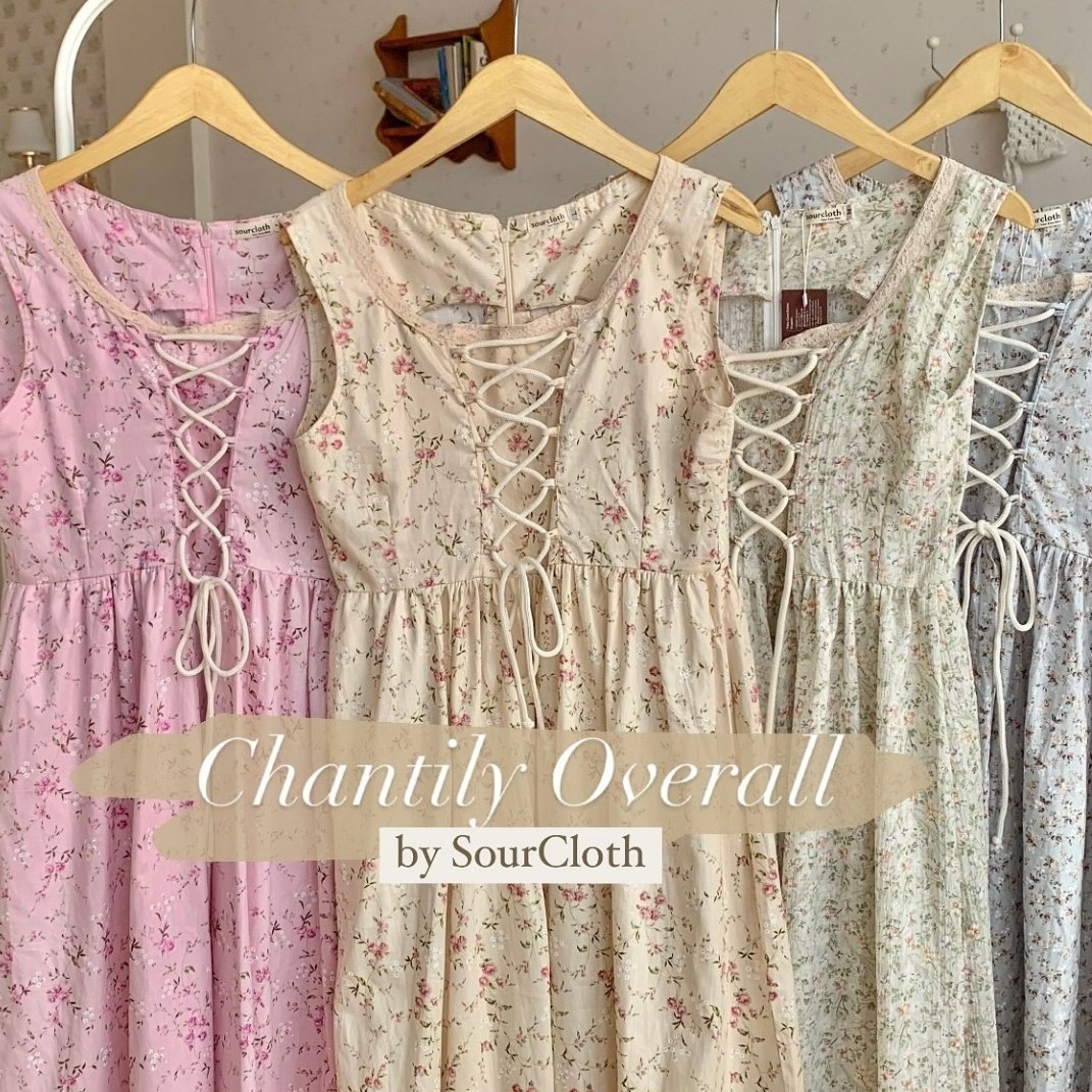 balleroine's tweet image. 𝜗ৎ pretty overall dress

a thread