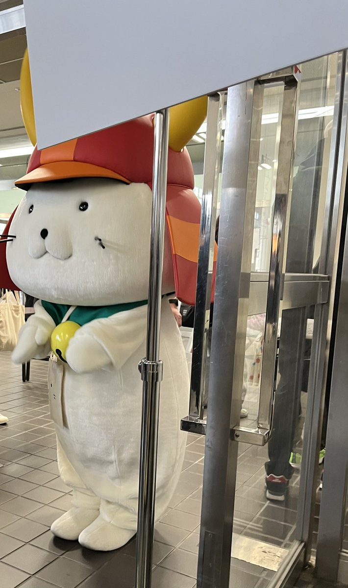 帰ろうとしたらひこにゃん目の前にいた！
激アツ！