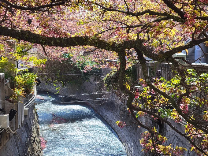 あたみ桜「やっと…春が始まったんやな…」シーン集 