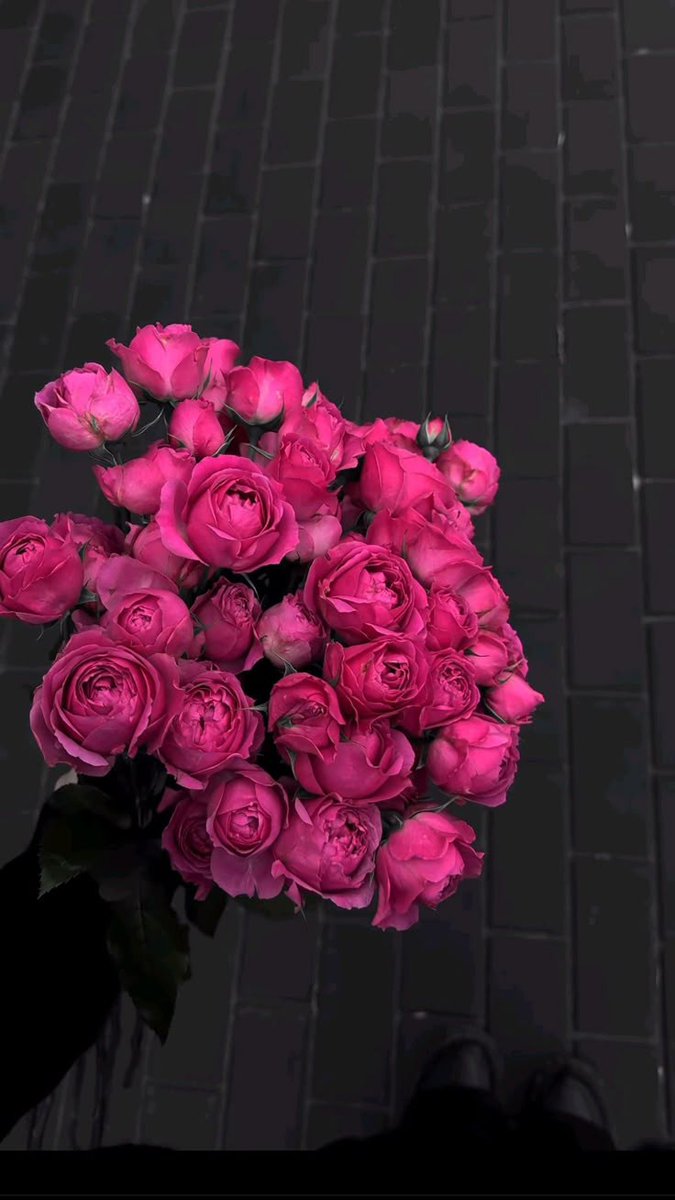 Even the darkest night will end, and the sun will rise🥰🌹💐