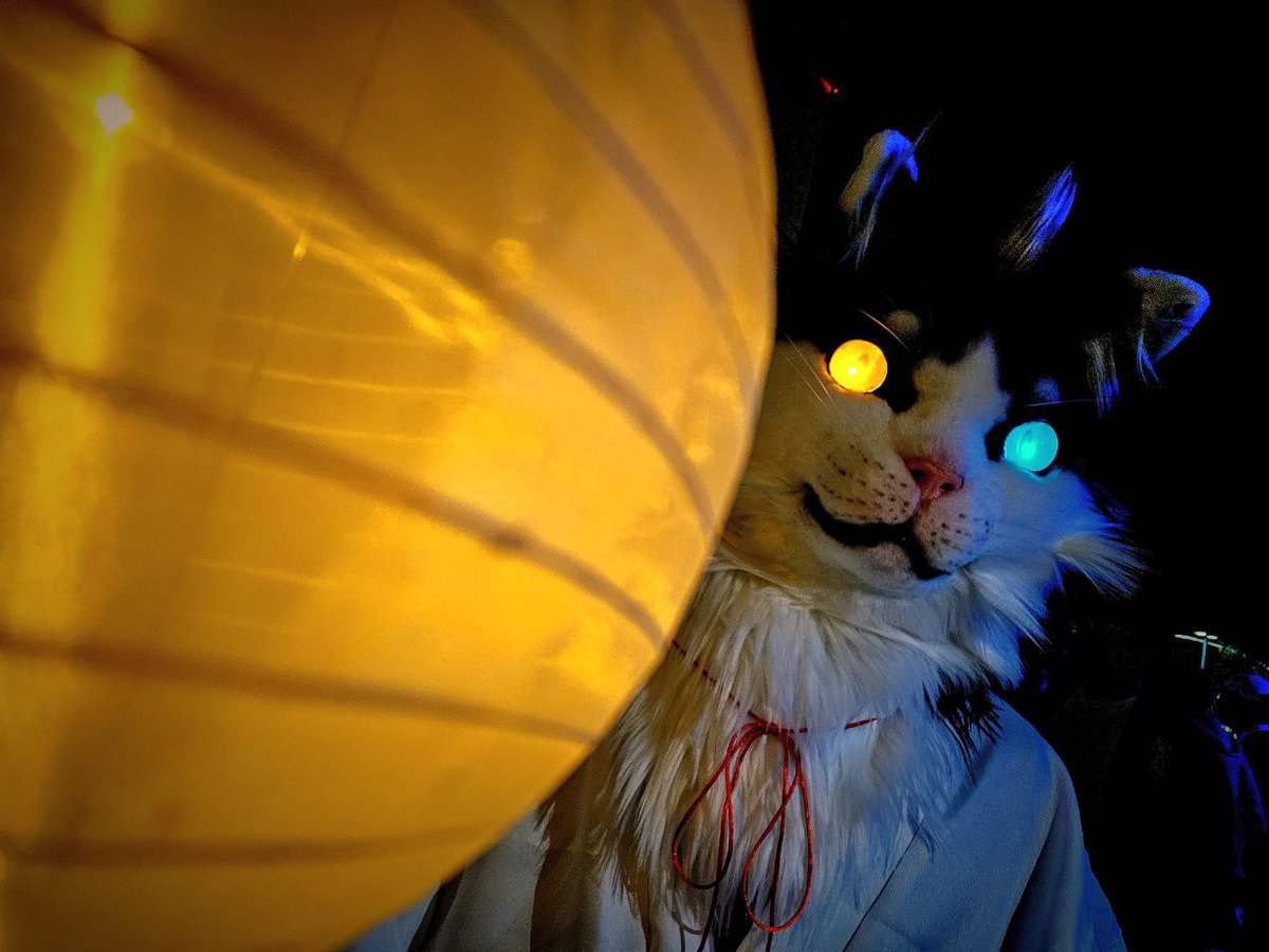 夜の始まりさ

📷: しおた 辰守