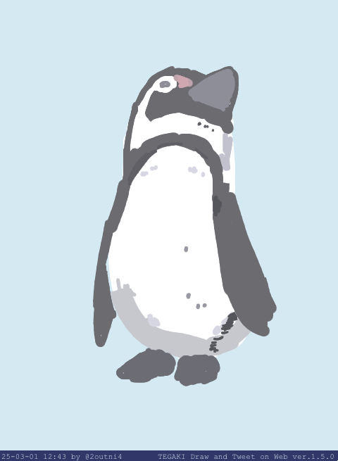 「ケープペンギン #tegaki_dt 」|24のイラスト