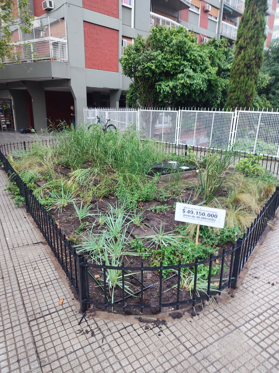 Traductor 🥹💕💐 tweet media