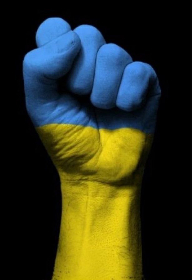 Ivy Bailey tweet media