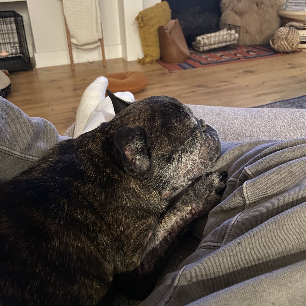 Shea Serrano tweet media