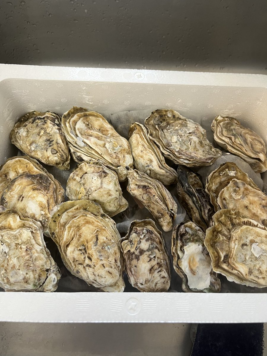 海男さんの生牡蠣
