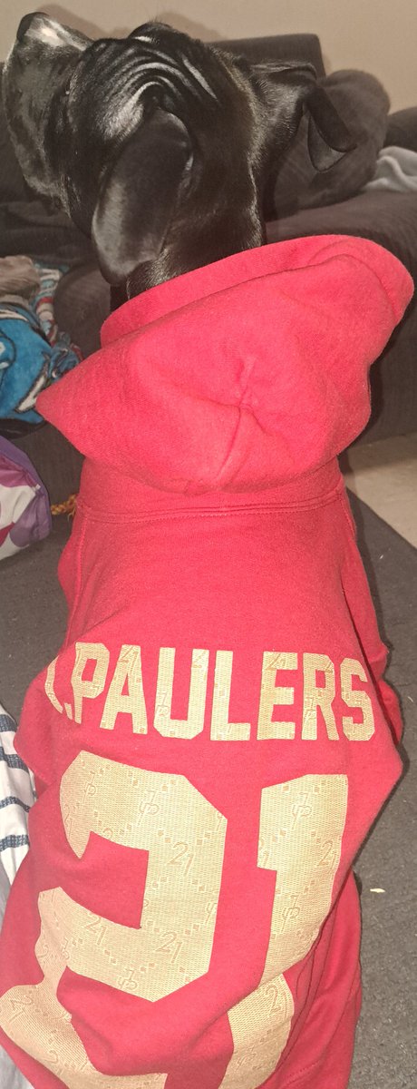MissDevon15's tweet photo. @jakepaul when the humans grow out of the old school merch... pass it down to the 5 mth old #ProblemPuppy #PuppyPitty #stillgrowing #toronto HELP her human get to #WWEChamber https://t.co/hy7LBMlbHi
