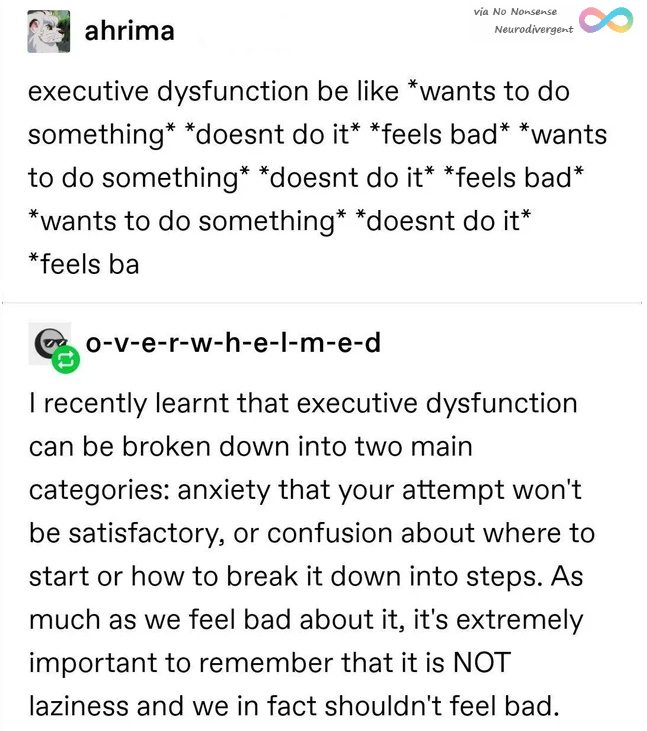 NoNonsenseND's tweet image. 