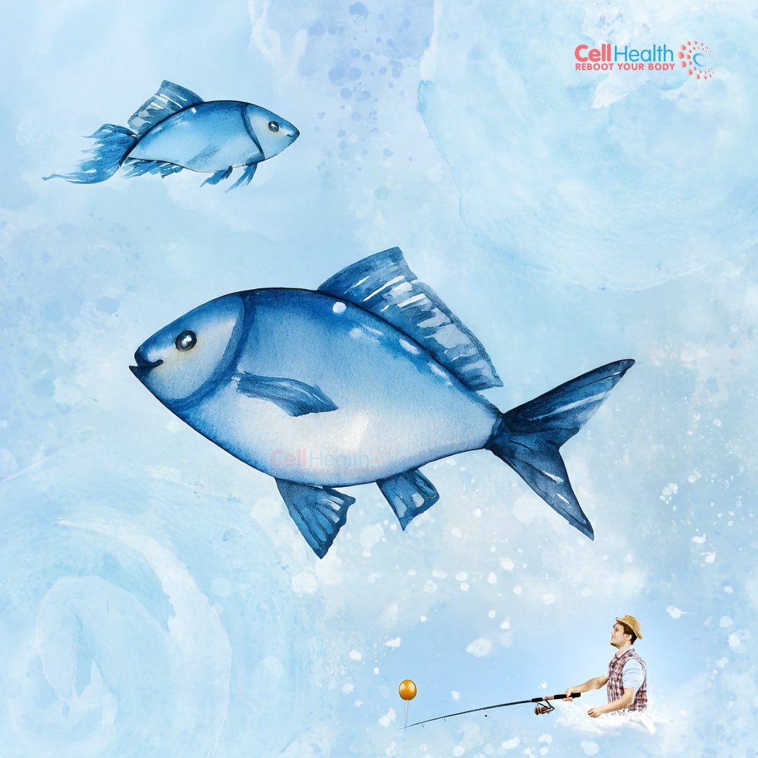 CellHealth84552's tweet photo. Omega-3: The Key to a Healthy Heart, Lower Cholesterol &amp; Improve Circulation!

For More Details Contact No: 📞+91 9706777888
🌏Visit Our Website:
https://t.co/FhqYmt3HGB

#Omega3  #HeartHealthMonth  #CellHealth  #healthylivingtips  #WellnessJourney https://t.co/t0C22G7yb6