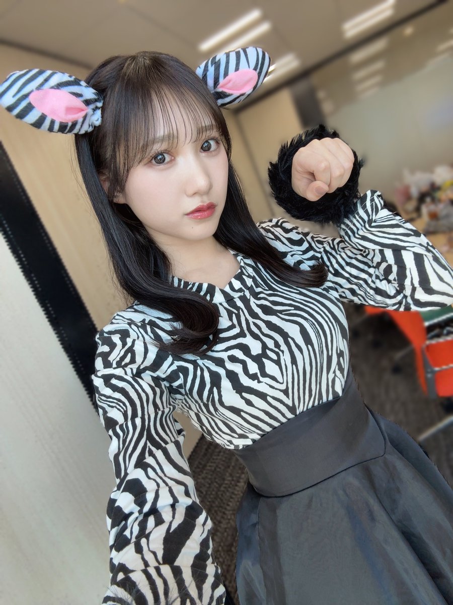 ゼロイチ動物図鑑