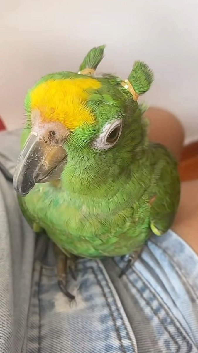 twaniimals's tweet photo. https://t.co/rQCyM2OoXL