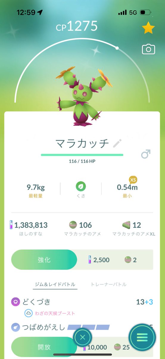 ゆうポケモンgo tweet media