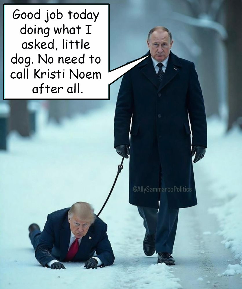 <a href="/realDonaldTrump/">Donald J. Trump</a>