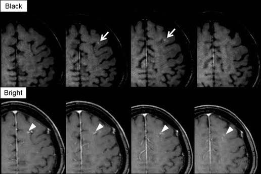 はんちゃあ。 tweet media
