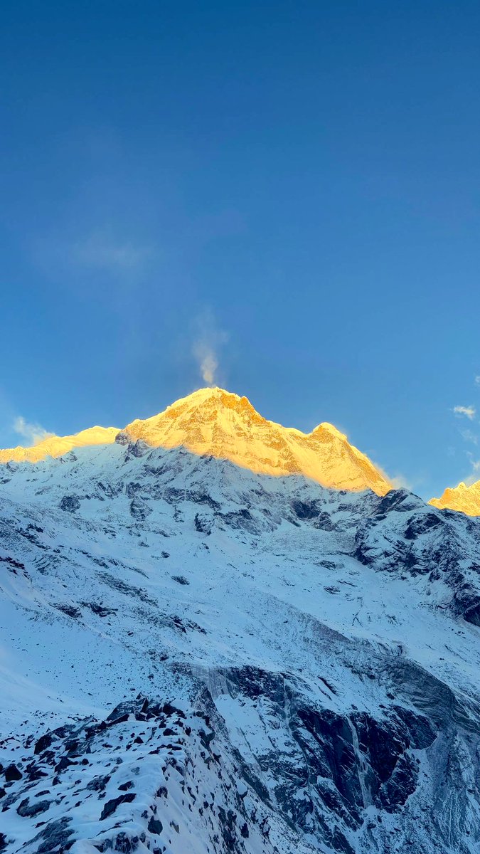 Gauri Gurung tweet media