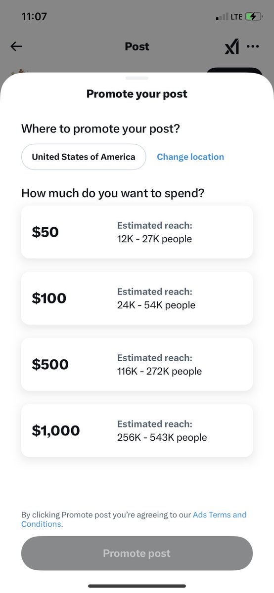 king of the tendies tweet media