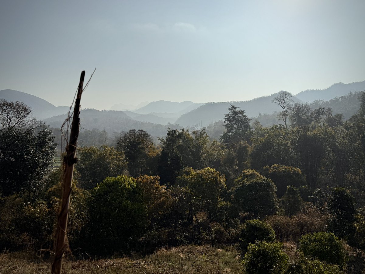 Apichatpong W. tweet media