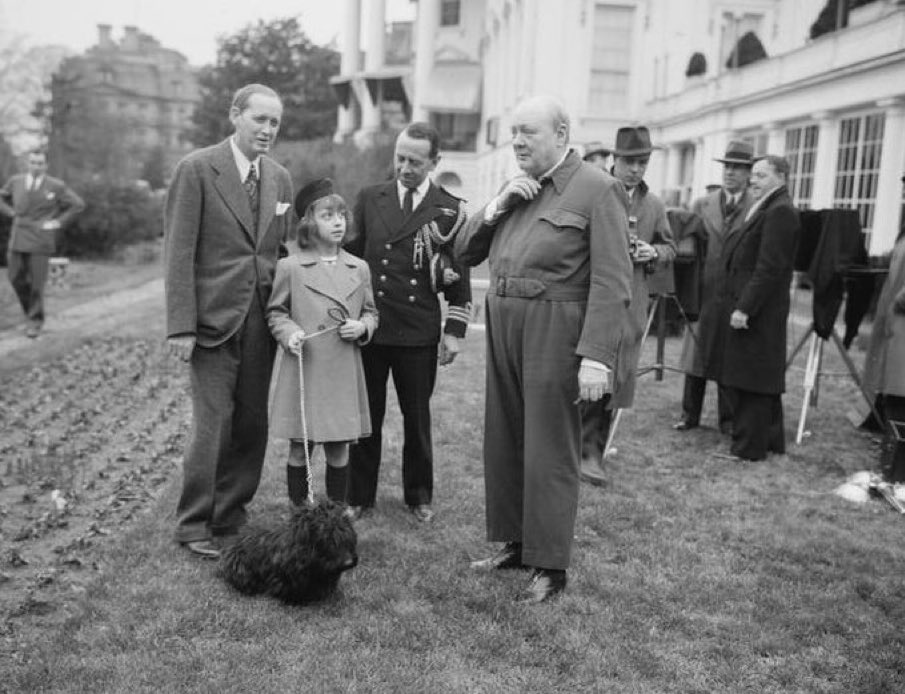 Marc De Vos tweet media