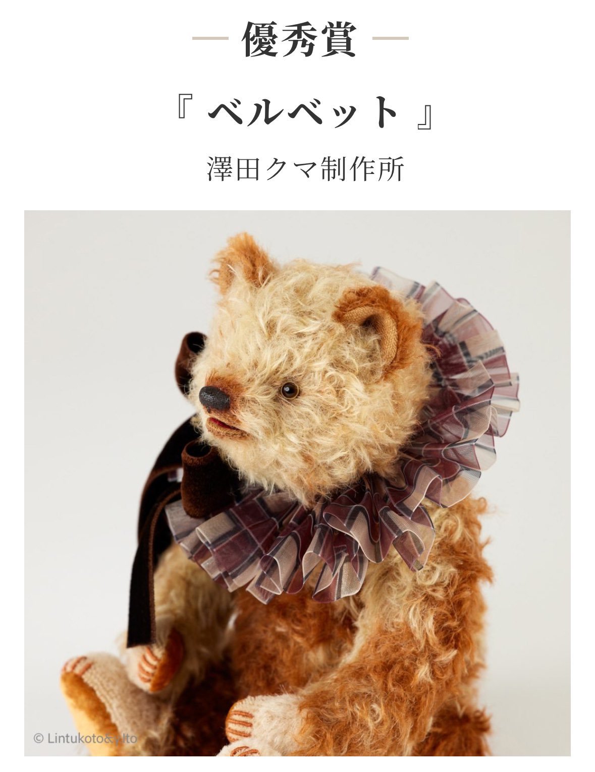 国内テディベア作家 | Dear Bear 目黒店