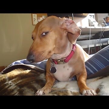 matteverse ⚔️ tweet media