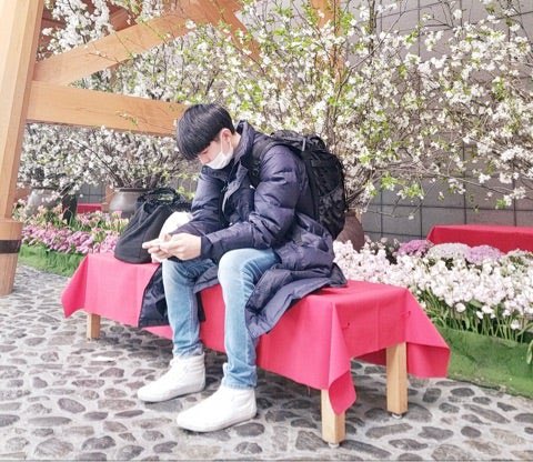 onlyyushi's tweet image. 180405 I’ve turned 14 years old. EDAMAME BEANS Yushi. (Last Blog)

🔗 ameblo.jp/ebidan/entry-1…
#유우시 #YUSHI #ユウシ #NCTWISH