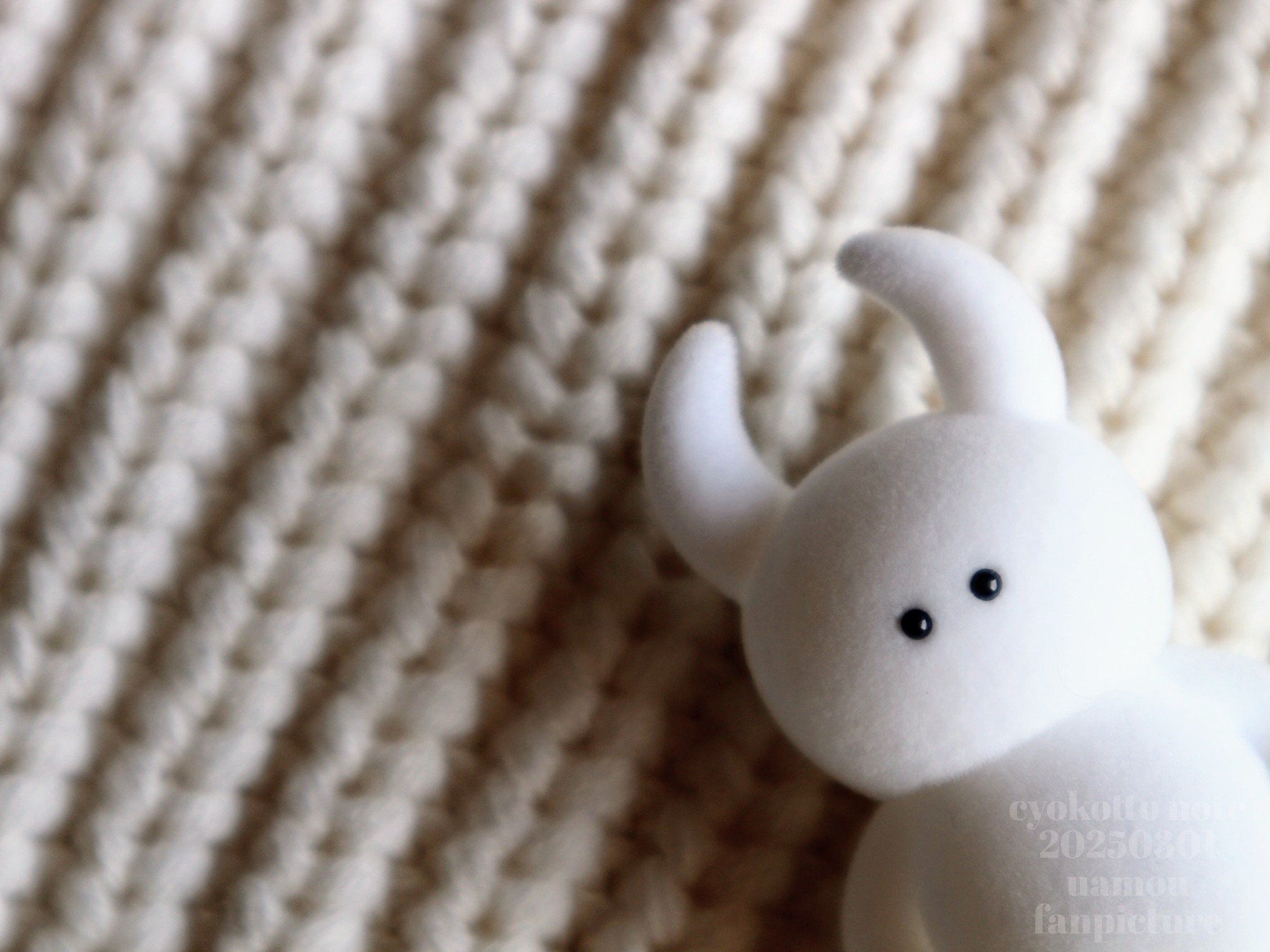 STUDIO UAMOU (@STUDIO_UAMOU) / X