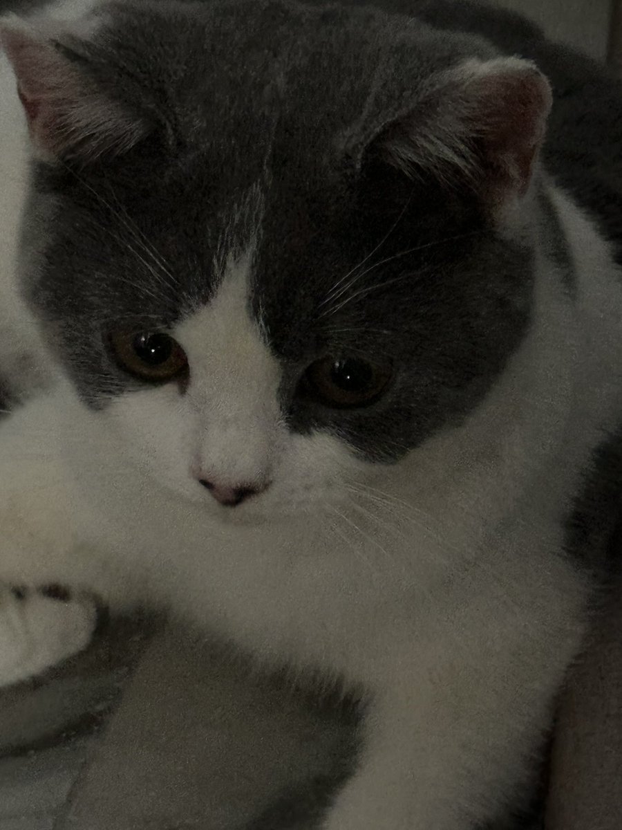 กัดทีมือแทบขาด😔👍🏿