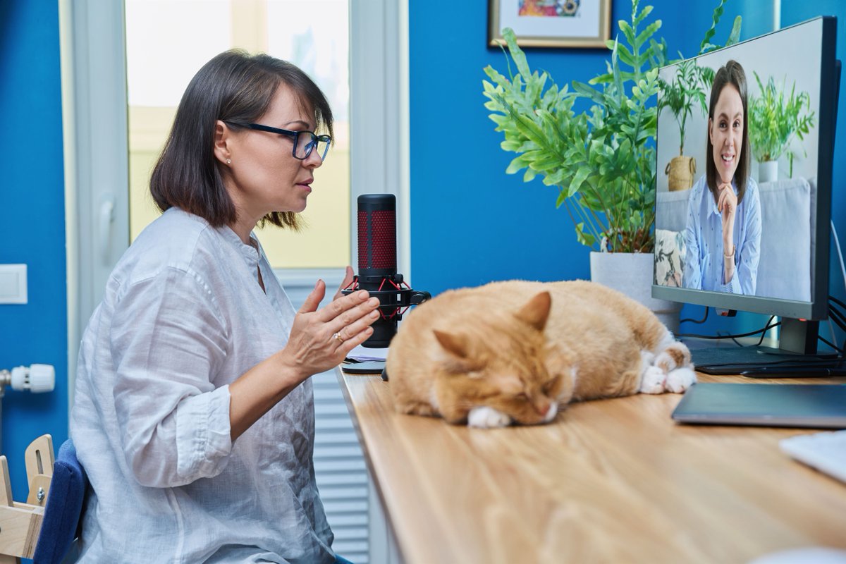 JasonWasserman's tweet photo. Cats: Proof that naps aren’t lazy—they’re strategic recharges. 🐈💤 Watch them stretch, snooze, and conquer the day. A cat’s life philosophy = work-life balance goals. ✨🌟 #NapLikeACat https://t.co/EGRyMmd52Y