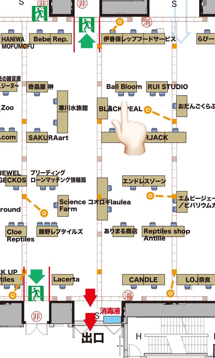BLACK OUT 3月2日(日)東京産業貿易センター浜松町館
3Fにて出店いたします🐍
ボール20%OFF🐍　アガベ🌵半額😁
恒例の見て語って満足してお迎えください😊
お待ちしております！

#ボールパイソン #爬虫類 #アガベ #BO #ballbloom
