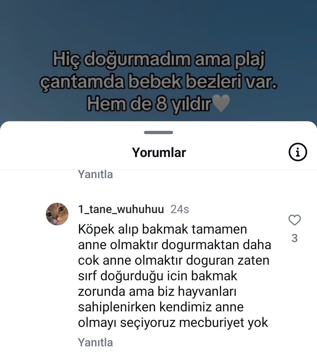 Bana diyor ki (başıboş köpek sorununu yazmaya) "sıkıysa İnstagram'a gel." Geldim, akıllı bulamadım, yazmadım. 🤔