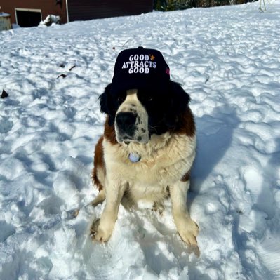 #NewProfilePic