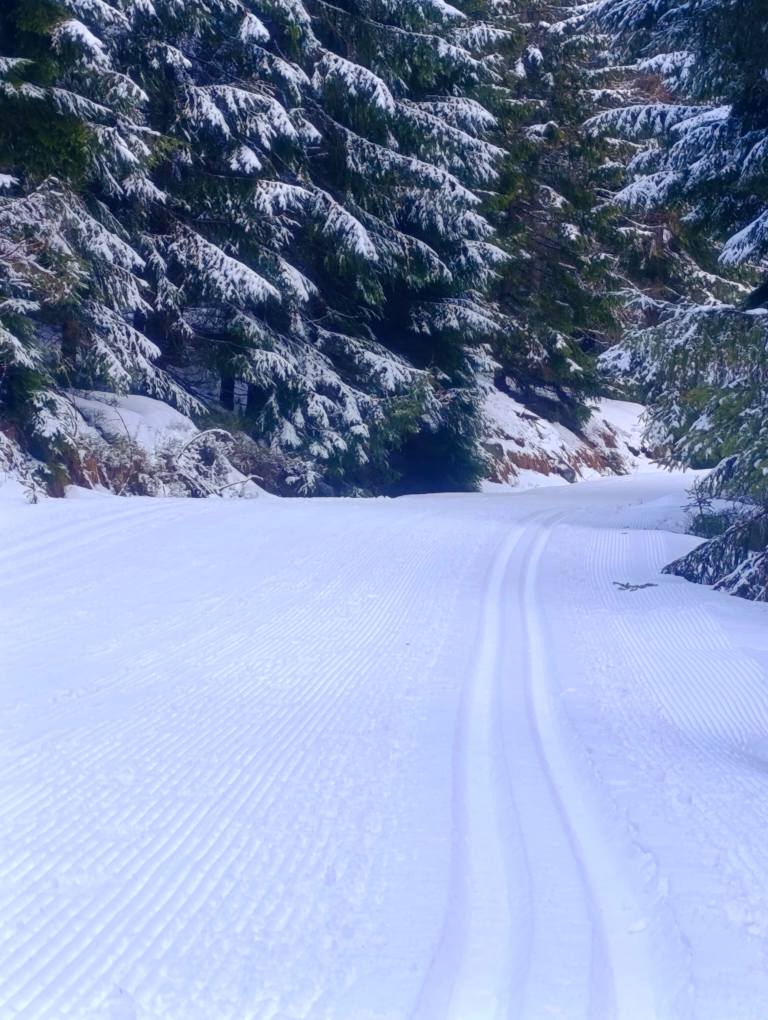 Bieg Piastów tweet media