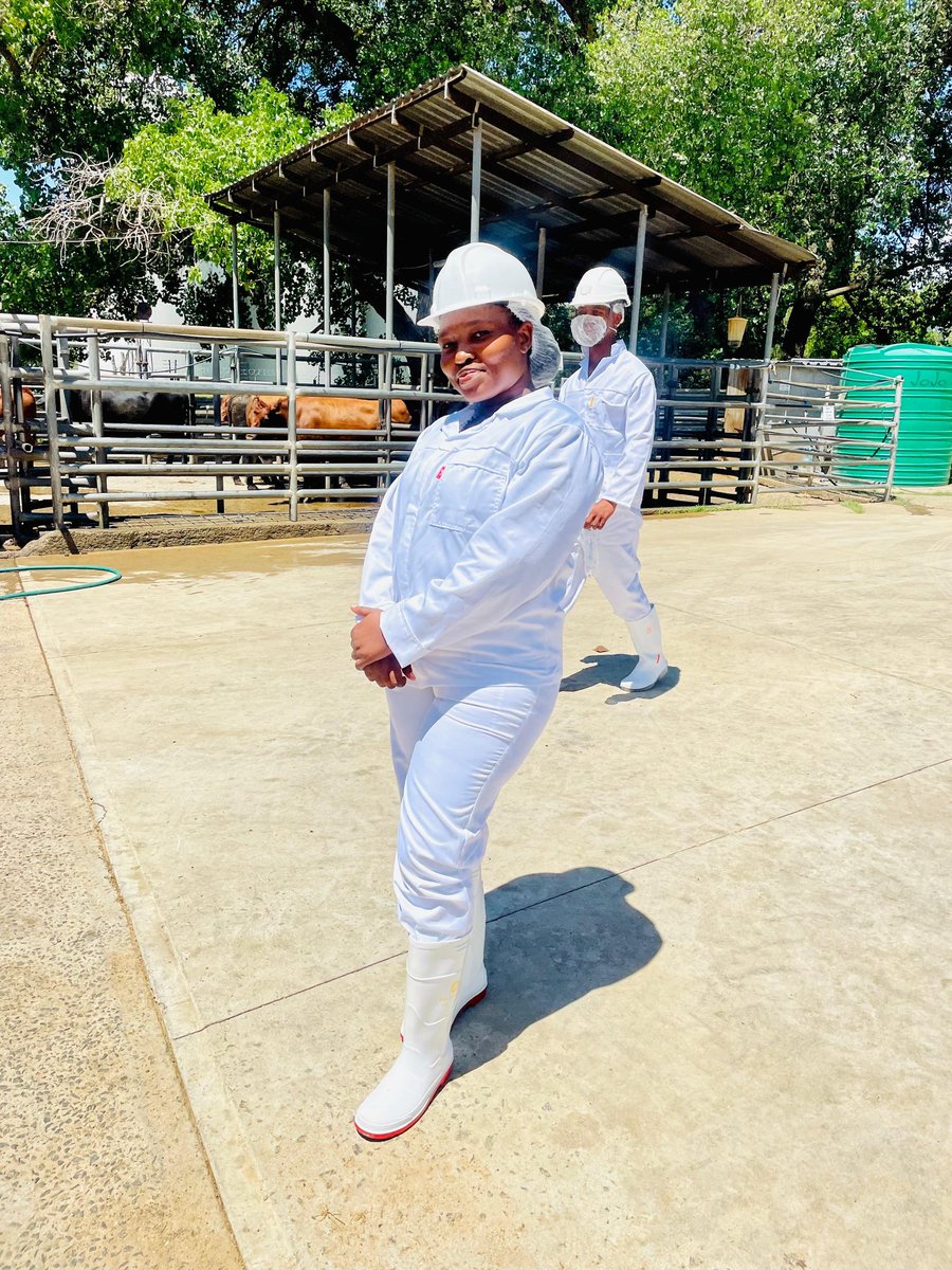 thandor2310's tweet photo. Thank you #FicksburgAbbatoir🤍🫶🏽
What a long week it was 🥹l was crying when l had to inspect the meat😫🙌🏽...one week down five more to go😭😹
This week was all about precision and safety because good meat starts with great inspection! #FoodSafety #MeatInspector https://t.co/Teyy3Y2q2c