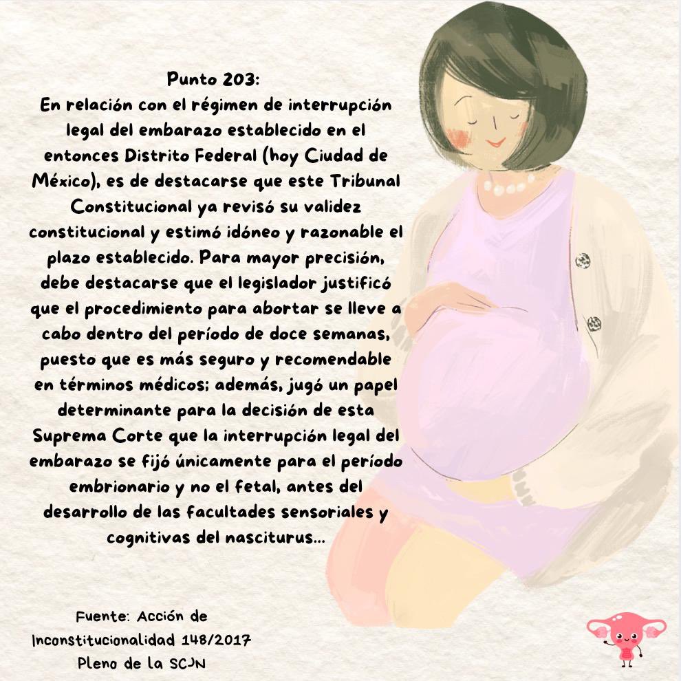 Alejandra YañezRubio tweet media