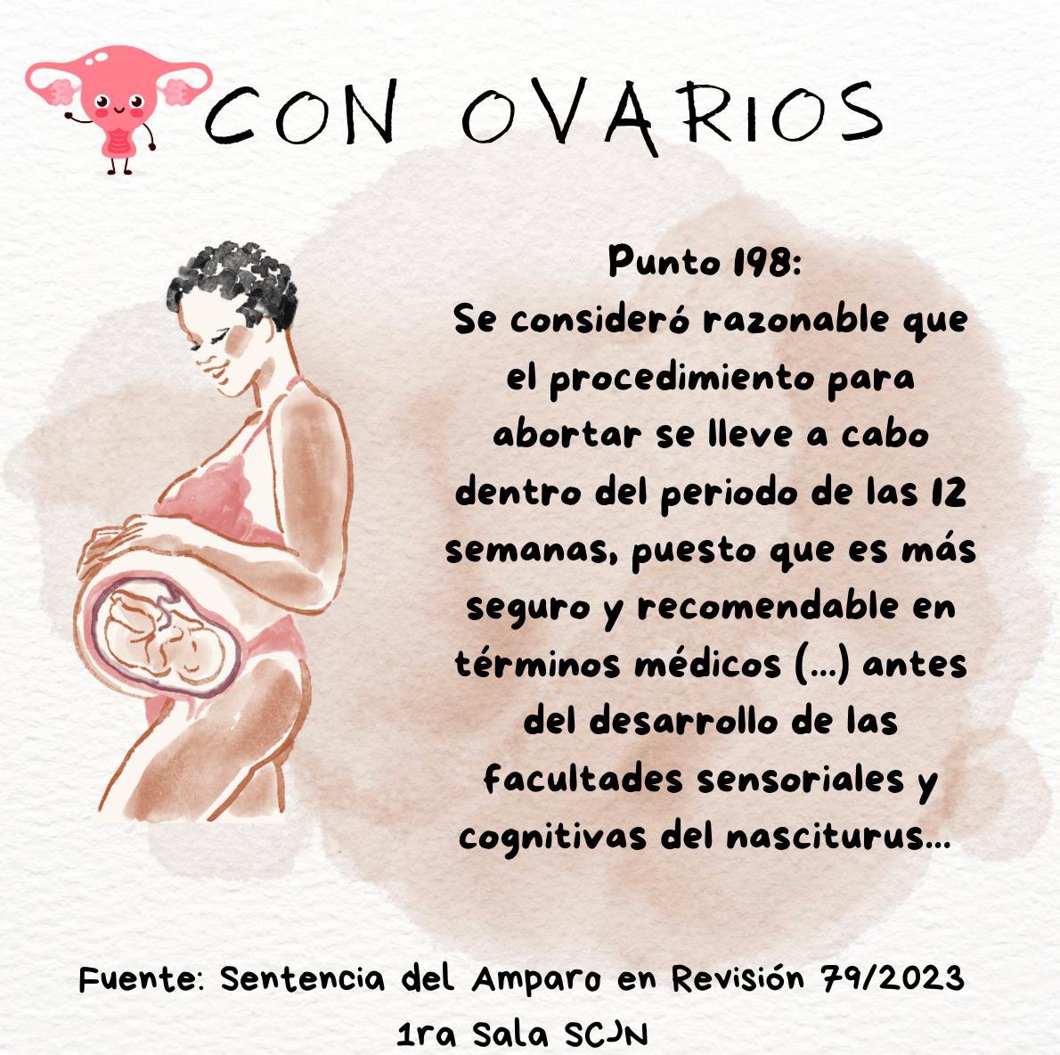 Alejandra YañezRubio tweet media