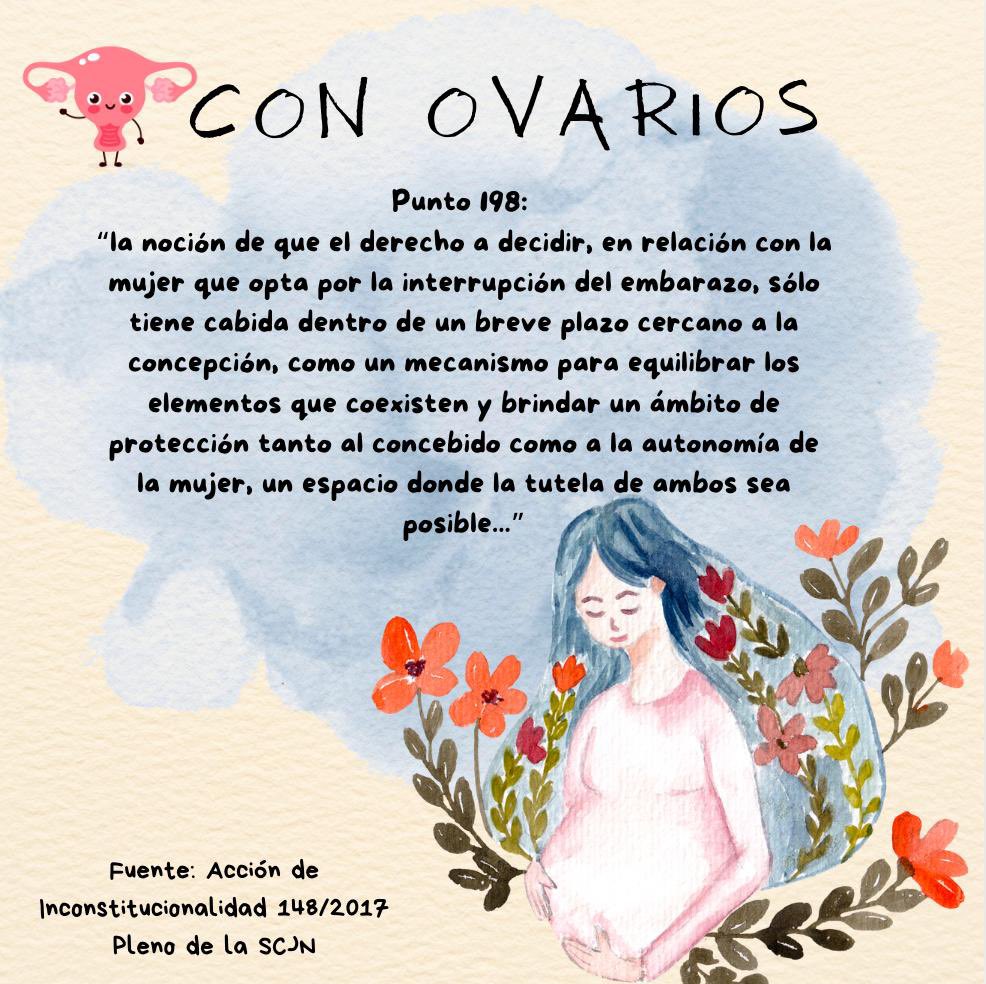 Alejandra YañezRubio tweet media