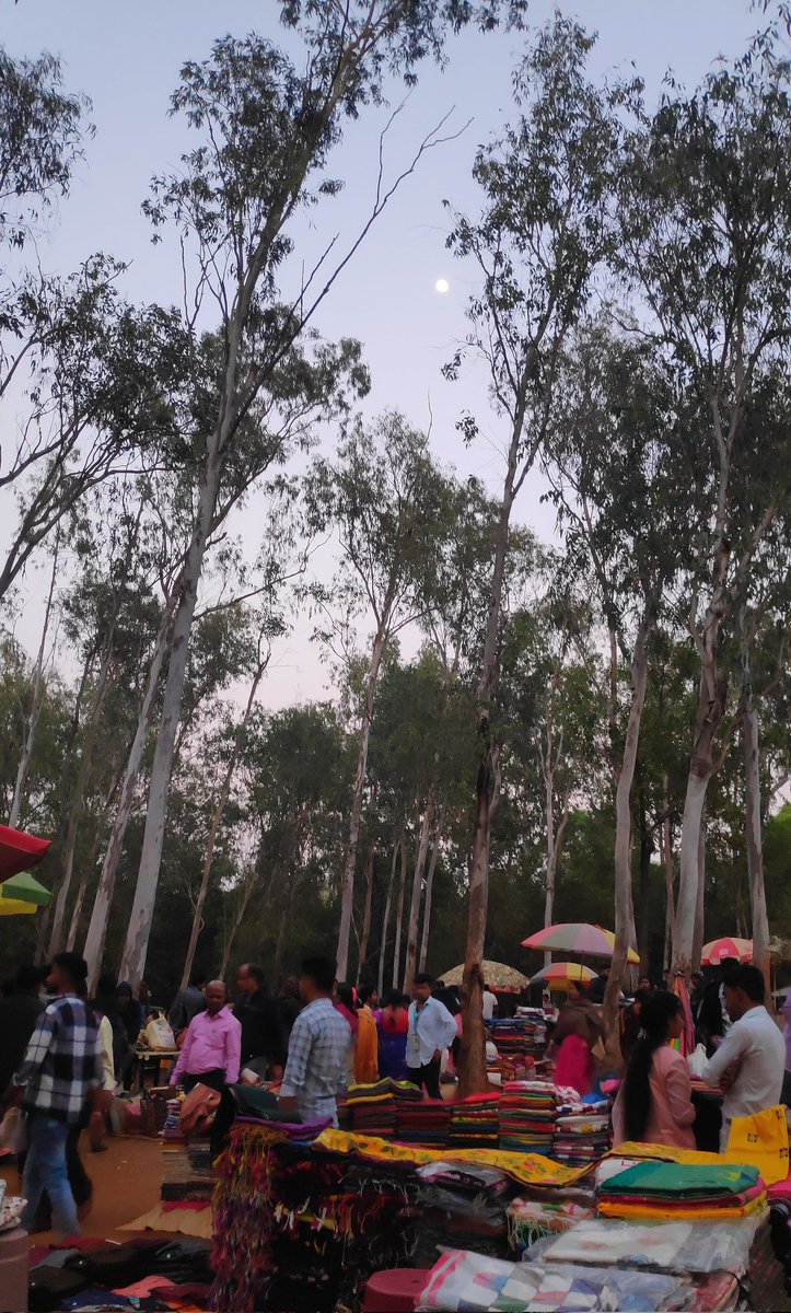 Moon over Shonajhuri.

Going round and round seeing clothes  bags wooden handicrafts dances,listening to baul gaan and buying an ektara from the haat.