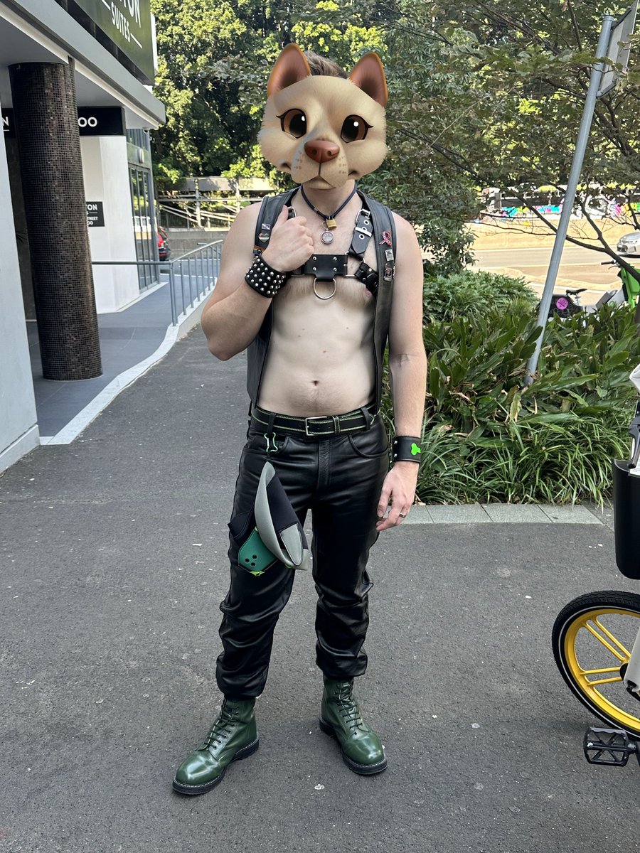 Sydney Mardi Gras 2025! This pup is ready for his first march in the parade 🏳️‍🌈🐶