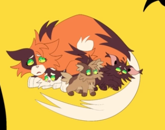 crinkly doo 🔜 FWA, AWU, FD tweet media
