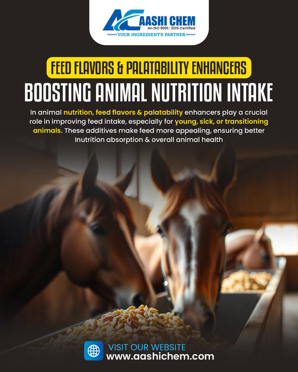 aashi_chem's tweet image. Enhancing animal nutrition one bite at a time! 🌿 Feed flavors &amp;amp; palatability enhancers make every meal more appealing, boosting intake and supporting better health. 🐾 

Visit us at 🌐 aashichem.com

#AashiChem #AnimalNutrition #HealthyFeeding #NutritionMatters